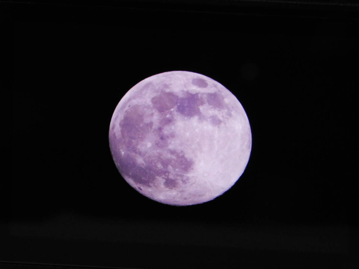 Canon EOS RP Mirrorless Digital Camera - Astronomical Clear Filter Modification [u1215230202]