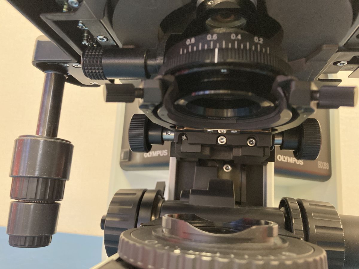 Olympus BX-53 Biological Microscope with PlanApo N and UPlanSApo Objectives [f1215894616]