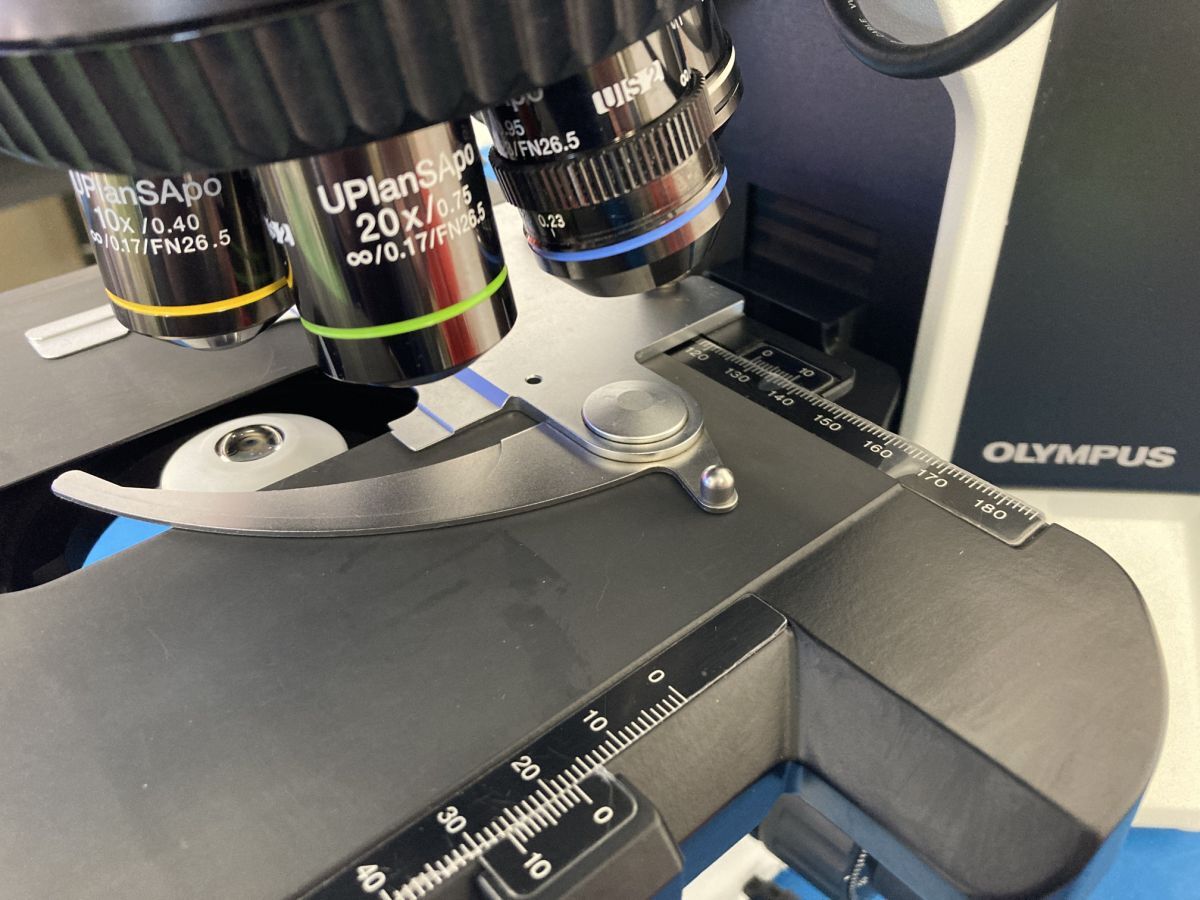 Olympus BX-53 Biological Microscope with PlanApo N and UPlanSApo Objectives [f1215894616]