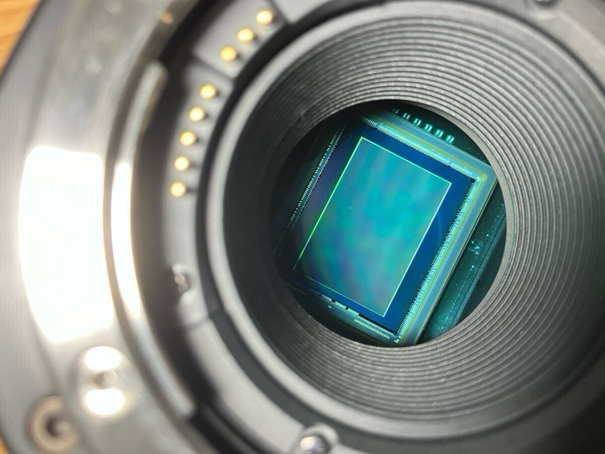 Blackmagic Pocket Cinema Camera 6K EF [g1215941838]