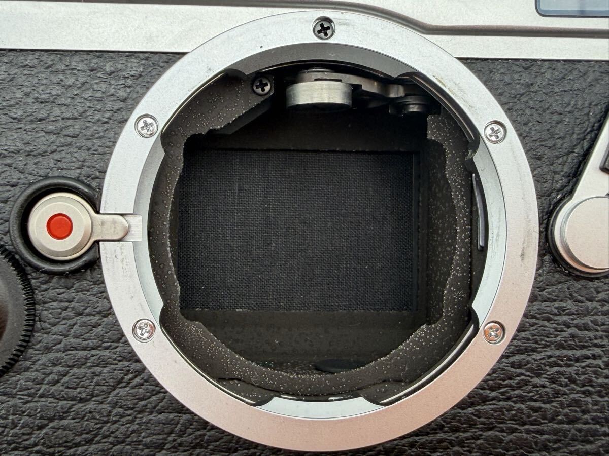 Leica M6 Film Camera Body Silver [u1218829479]