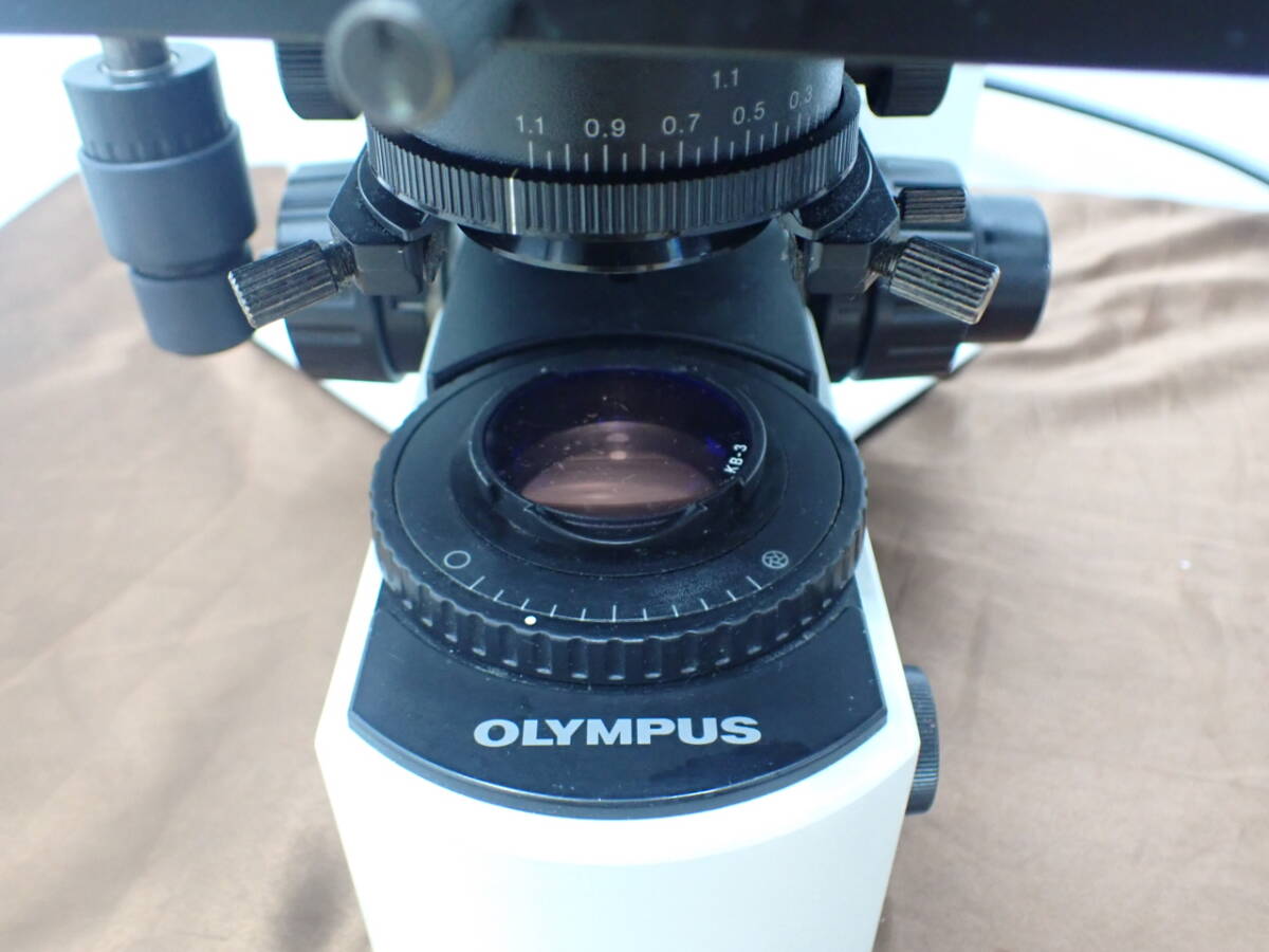 Olympus BX41TF Biological Microscope [k1231416360]