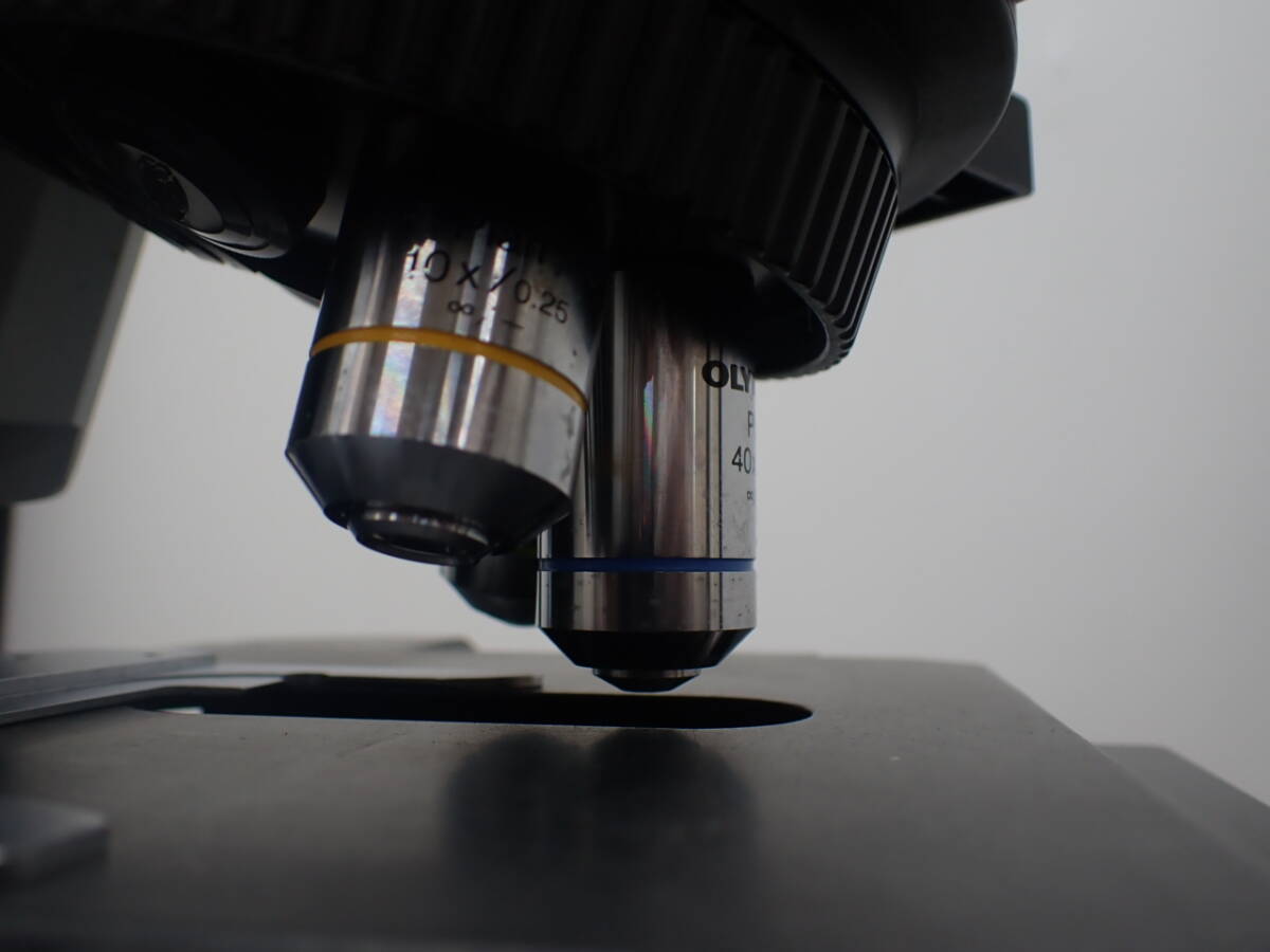 Olympus BX41TF Biological Microscope [k1231416360]