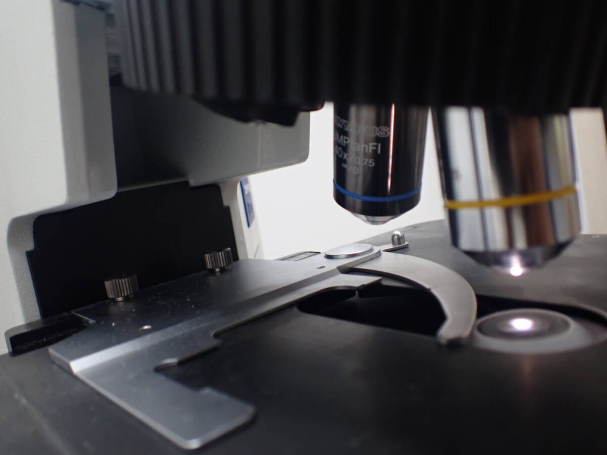 Olympus BX51TF Biological Microscope [c1232139056]