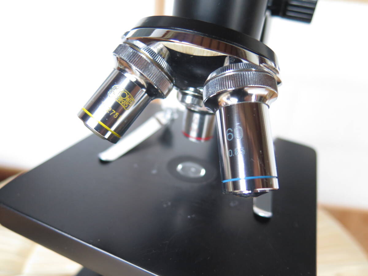 Kyowa Microscope 900x [d1232387276]