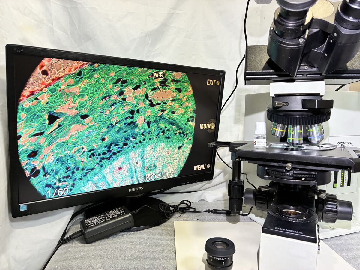 BX50 Phase Contrast Microscope [j1238147216]