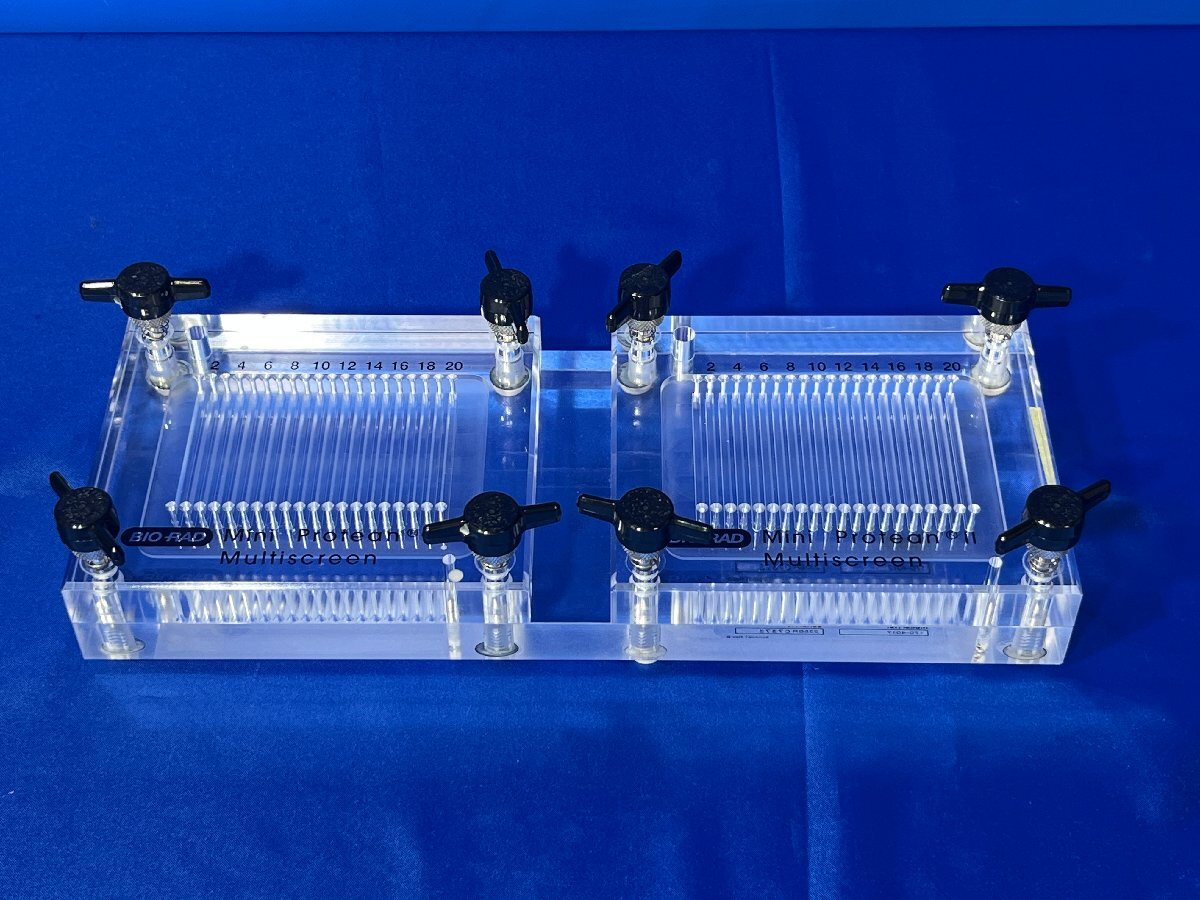 Bio-Rad Mini-PROTEAN II Multiscreen Apparatus 170-4017 [f1240112400]
