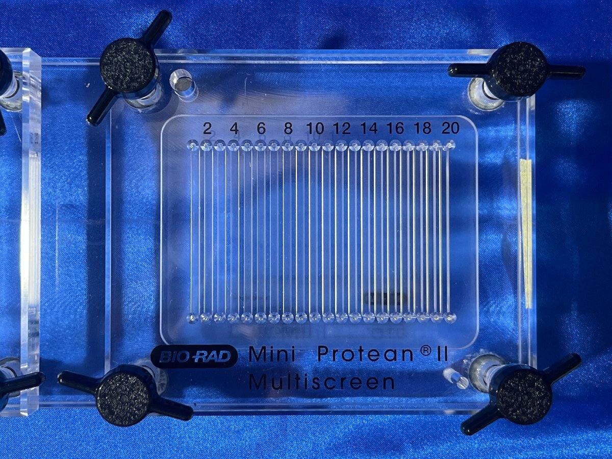 Bio-Rad Mini-PROTEAN II Multiscreen Apparatus 170-4017 [f1240112400]