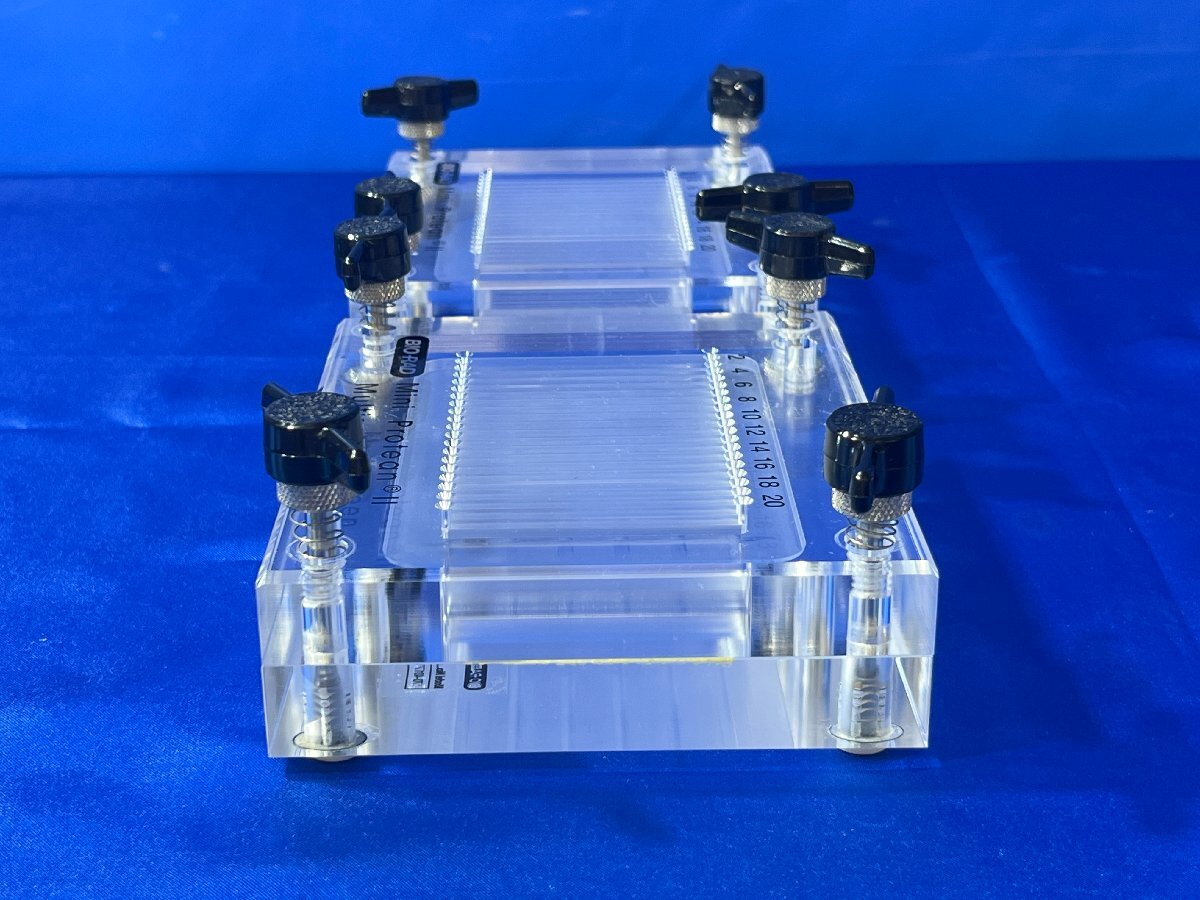Bio-Rad Mini-PROTEAN II Multiscreen Apparatus 170-4017 [f1240112400]