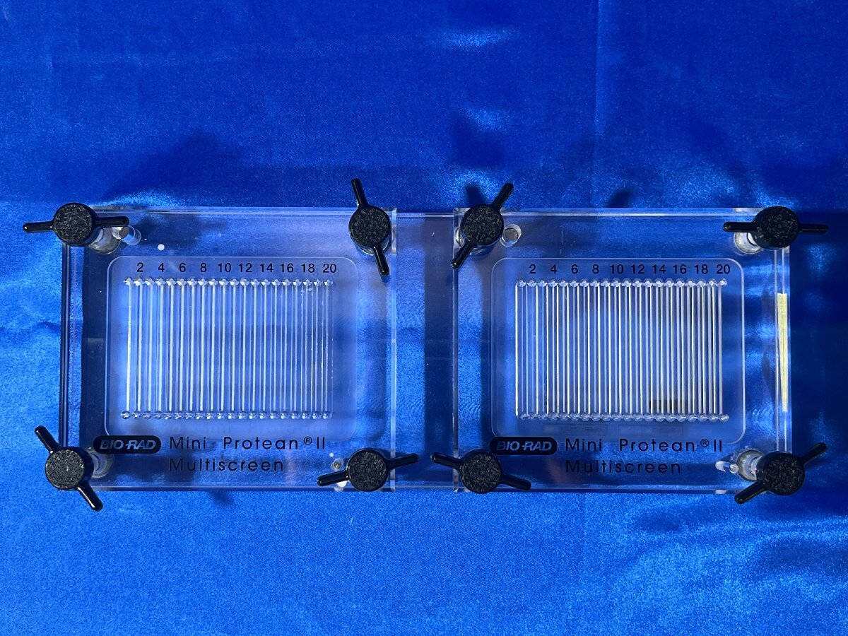 Bio-Rad Mini-PROTEAN II Multiscreen Apparatus 170-4017 [f1240112400]