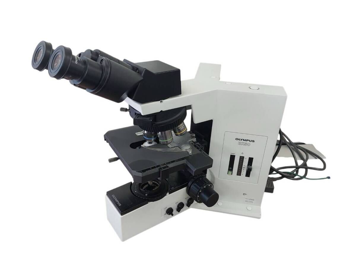 Olympus BX50 BX50F4 Biological Microscope Brightfield Darkfield [s1239874744]