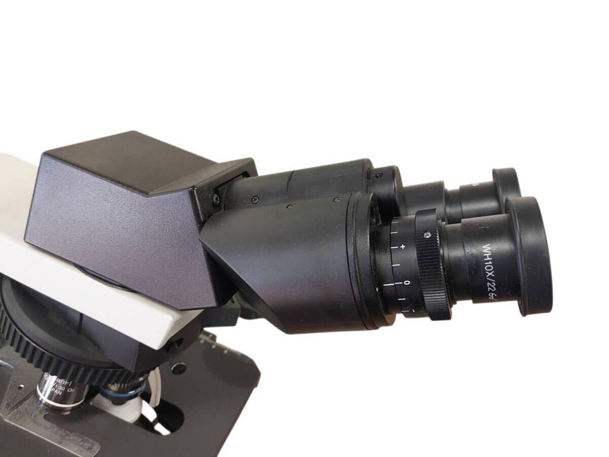 Olympus BX50 BX50F4 Biological Microscope Brightfield Darkfield [s1239874744]