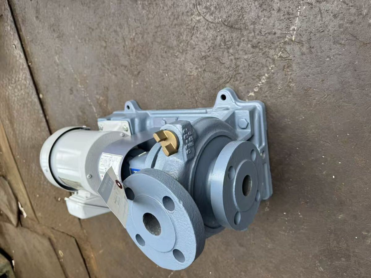 Ebara 32X32FS2F Centrifugal Pump 200V [x1247617859]