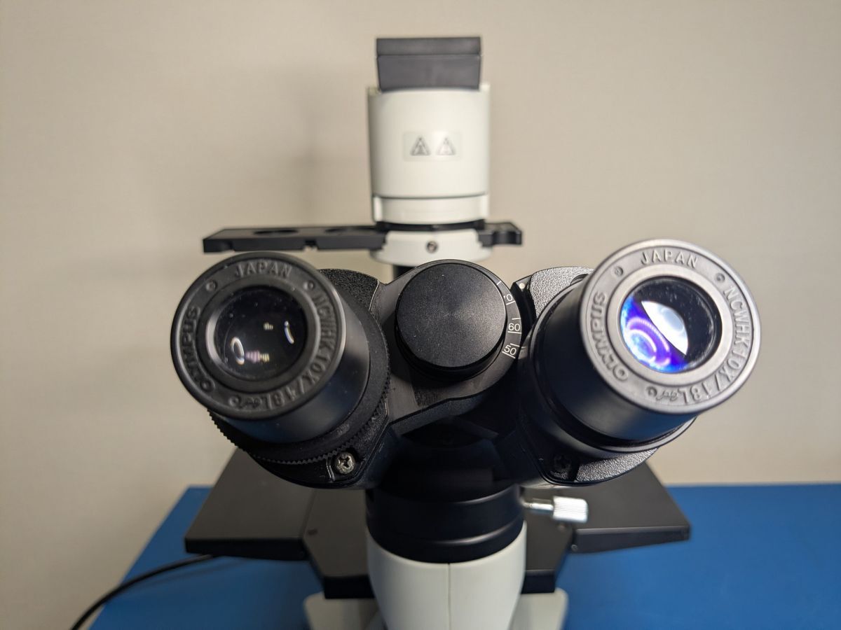 Olympus CK40-F100 Inverted Biological Microscope with 3 Objective Lenses [n1249786751]