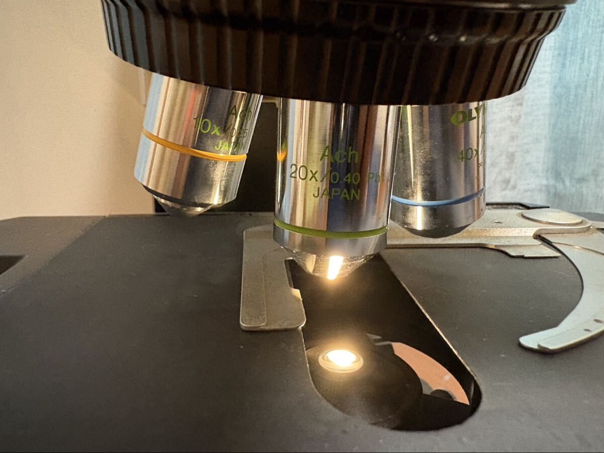 Olympus BX50F Biological Microscope [l1244454178]