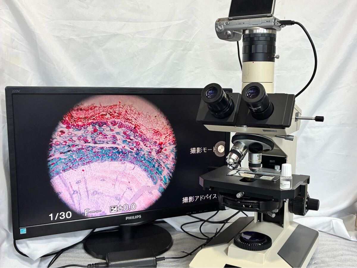 Olympus BH2 Phase Contrast Microscope with 3 Objective Lenses and Sony Camera [x1245984122]