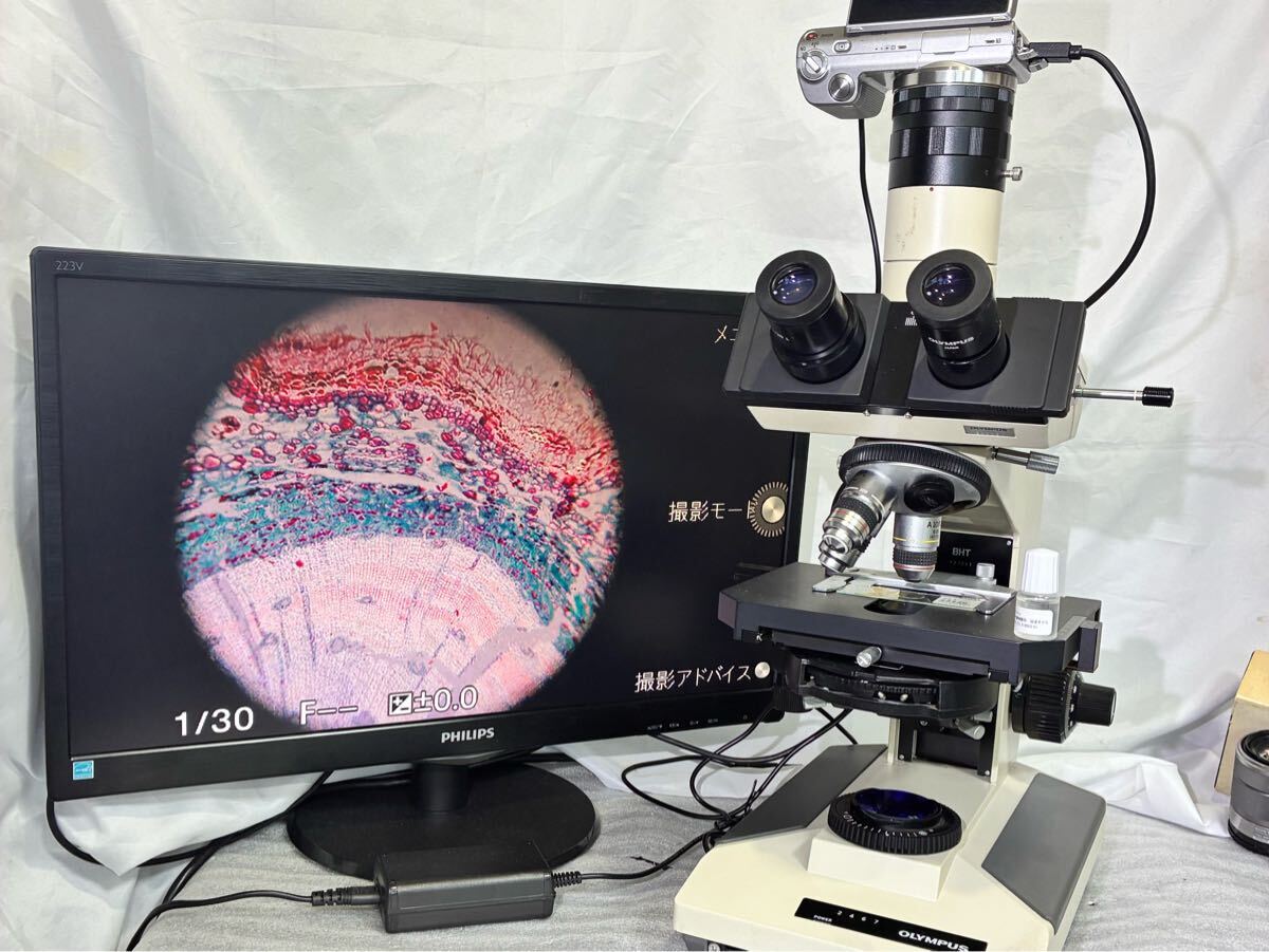 Olympus BH2 Phase Contrast Microscope with 3 Objective Lenses and Sony Camera [x1245984122]