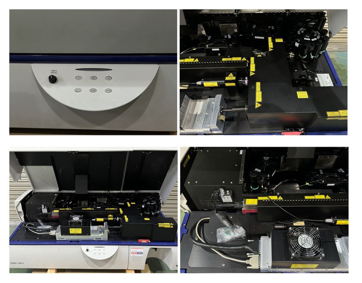 BD LSR II Flow Cytometer [c1174821248]