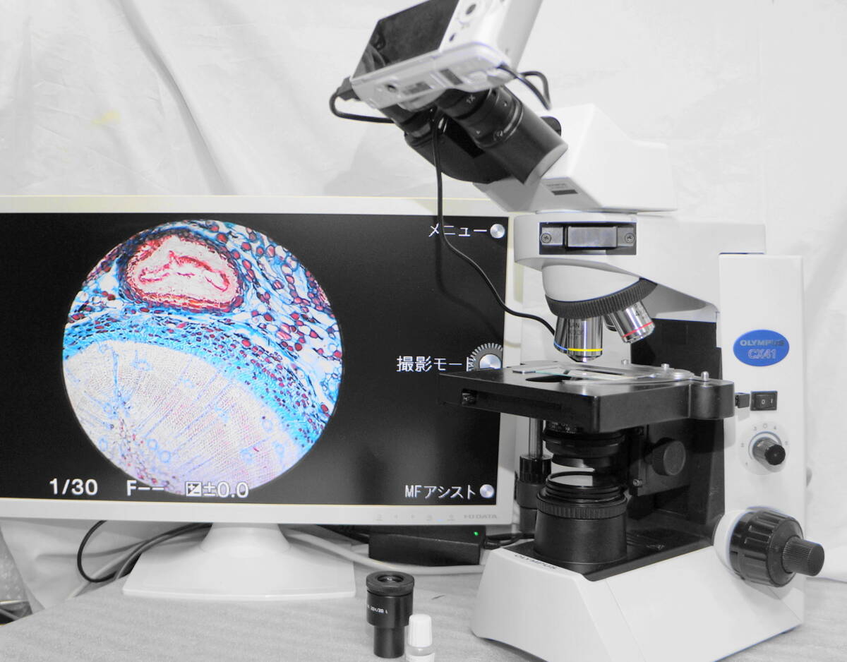 Olympus CX40 Microscope [d1206217744]