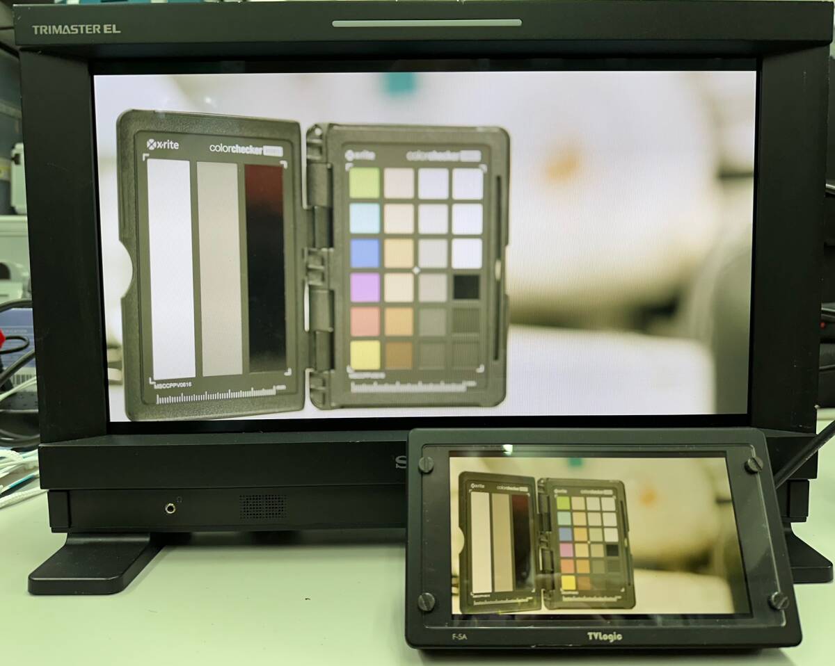 Sony PVM-1741 Commercial Organic EL Monitor 17 inch [m1185002113]