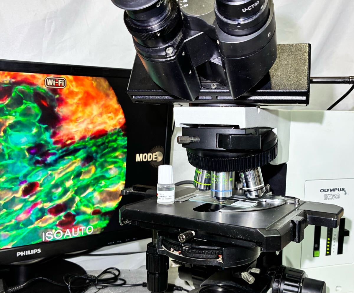 BX50 Phase Contrast Microscope [j1238147216]