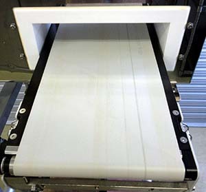Anritsu KDS8113BF Metal Detector [o1199943838]