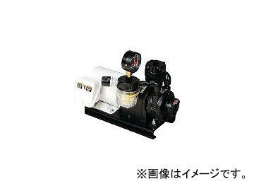 Orion KRF08AV01 Dry Pump [f1071714416]