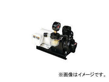 Orion KRF08AV01 Dry Pump [h1149585764]