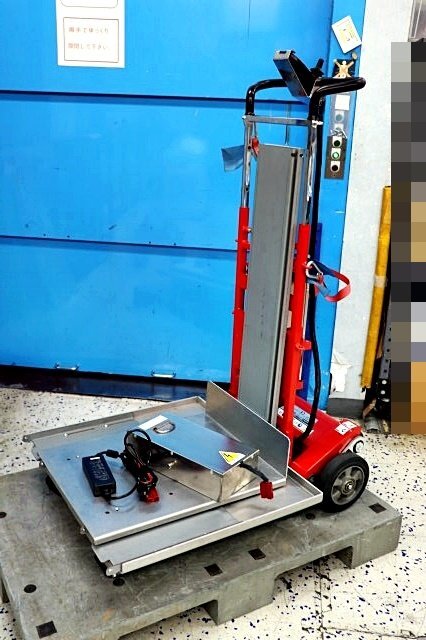 Zonzini Domino Automatic Stair Lift 300kg [d1199096182]