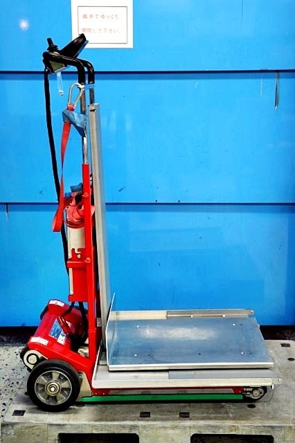 Zonzini Domino Automatic Stair Lift 300kg [d1199096182]