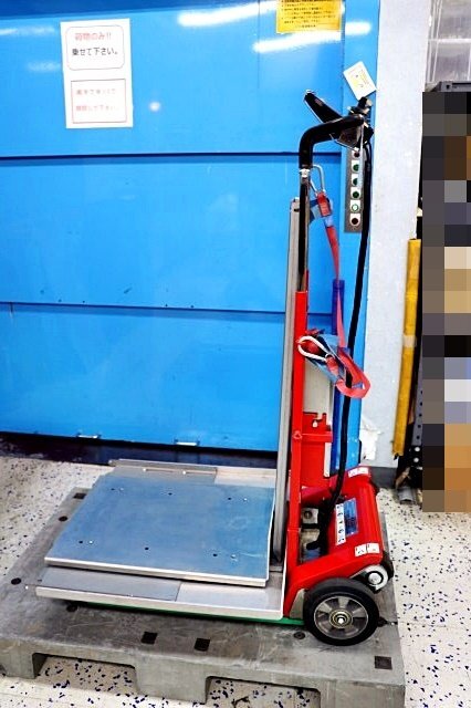 Zonzini Domino Automatic Stair Lift 300kg [d1199096182]