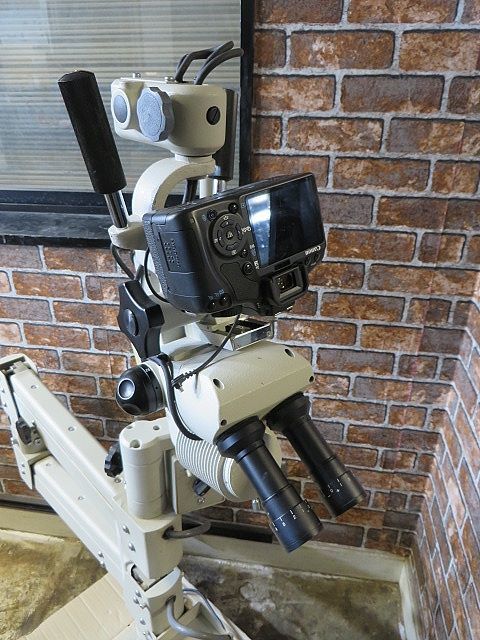 Toitu CP-182 Stereo Colposcope Medical Microscope [v1131699634]