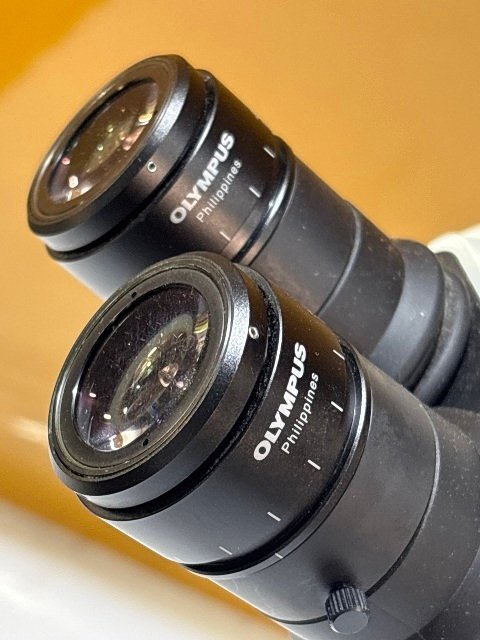 OLYMPUS SZ61 Stereomicroscope LED Lighting Trinocular Tube [r1194861038]