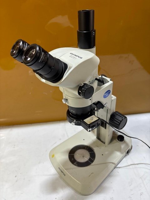 OLYMPUS SZ61 Stereomicroscope LED Lighting Trinocular Tube [r1194861038]