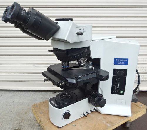Olympus BX51TF System Biological Microscope [1225936163]