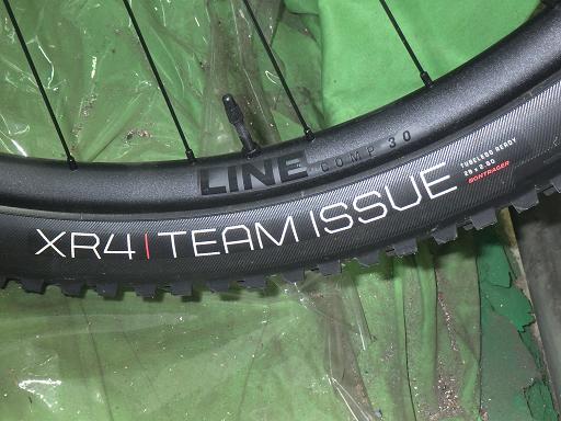 TREK ROSCOE 8 Mountain Bike 29 Inch [w1198111246]