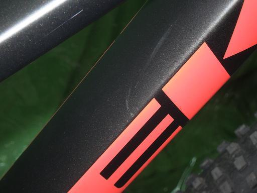 TREK ROSCOE 8 Mountain Bike 29 Inch [w1198111246]