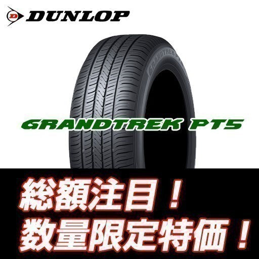 Dunlop Grandtrek PT5 255/45R20 Tires [b1191686112]