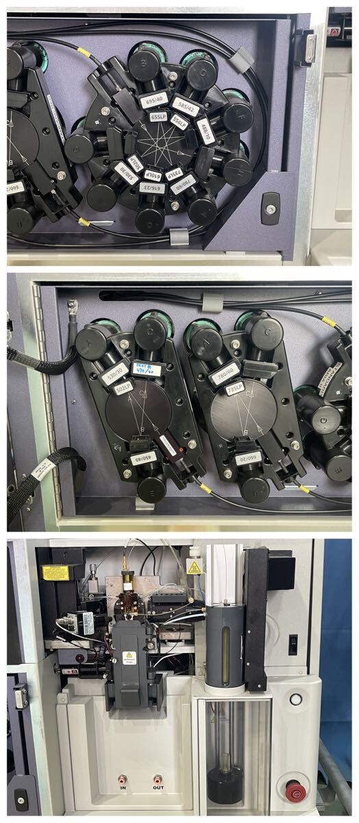 BD FACSAria II Cell Sorter [q1192897485]