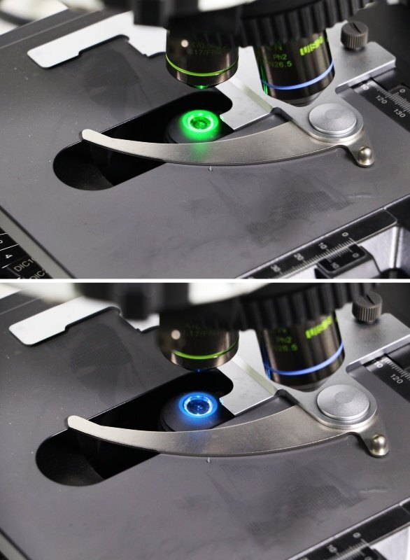 OLYMPUS BX51TRF Microscope [q1217035102]