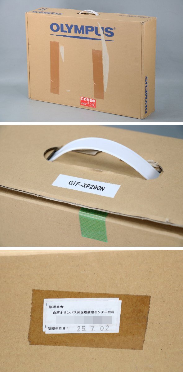 Olympus GIF-XP290N Video Endoscope EVIS LUCERA ELITE [o1250100422]
