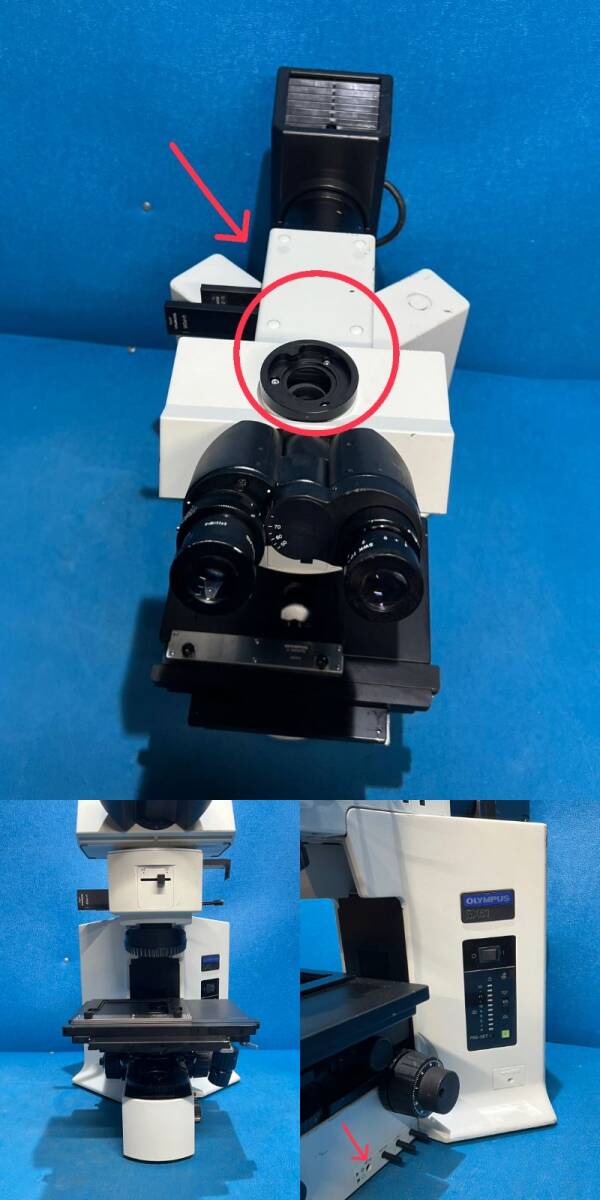 OLYMPUS BX51RF Microscope [t1199489433]