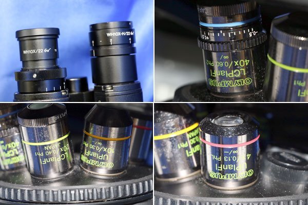 Olympus IX70 Inverted Microscope with 4 Objective Lenses [w1227822289]
