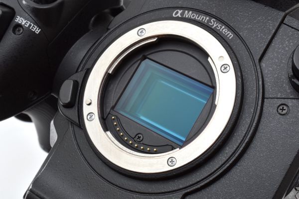 Sony PXW-FS5M2 Professional Camera Body [1245193187]