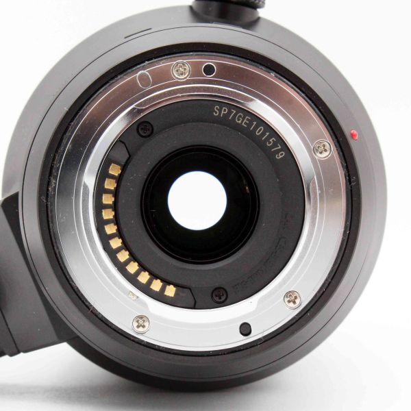 PANASONIC LEICA DG VARIO-ELMAR 100-400mm F4.0-6.3 ASPH POWER O.I.S. [k1211760853]