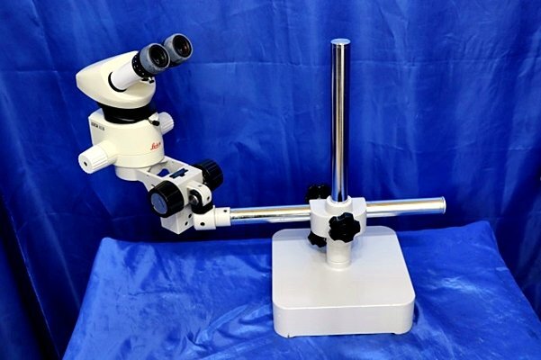 Leica MZ6 Zoom Stereo Microscope with Intralux 6000-1 Light Source [l1229227440]
