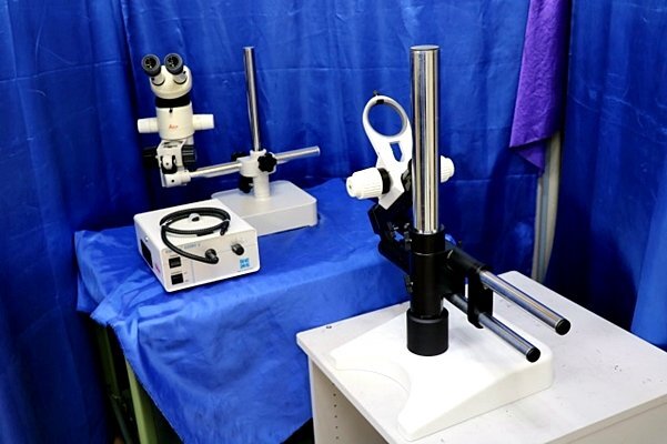 Leica MZ6 Zoom Stereo Microscope with Intralux 6000-1 Light Source [l1229227440]