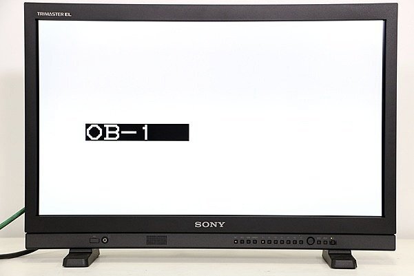 SONY PVM-A250 25-inch Commercial Organic EL Monitor [m1194531484]