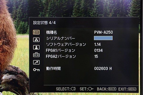 SONY PVM-A250 25-inch Commercial Organic EL Monitor [m1194531484]