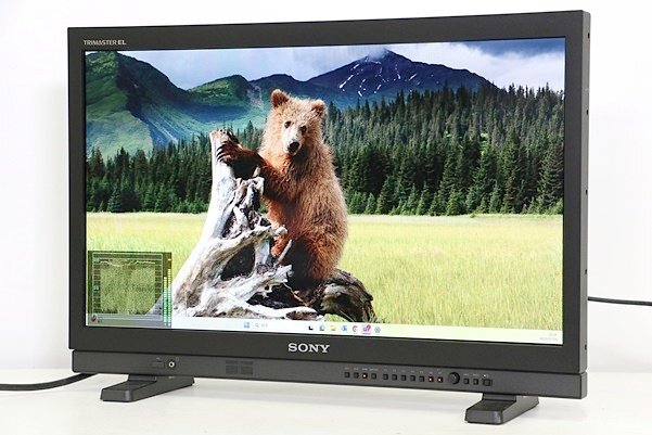 SONY PVM-A250 25-inch Commercial Organic EL Monitor [m1194531484]